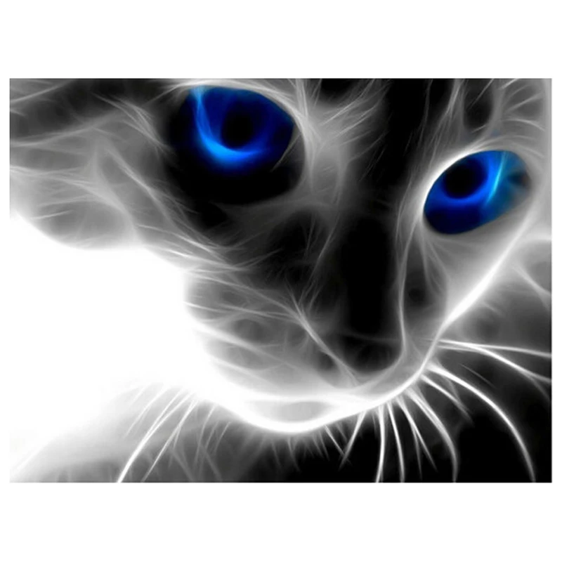 HTB1UW8aLXXXXXazXVXXq6xXFXXXu (3)