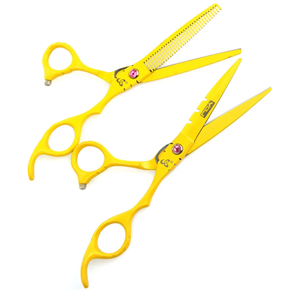 

ZY Professional 6 Inch Hair Cutting Hairdressing Scissor Set Thinning Scissors Shear For Barber Salon Stainless Steel