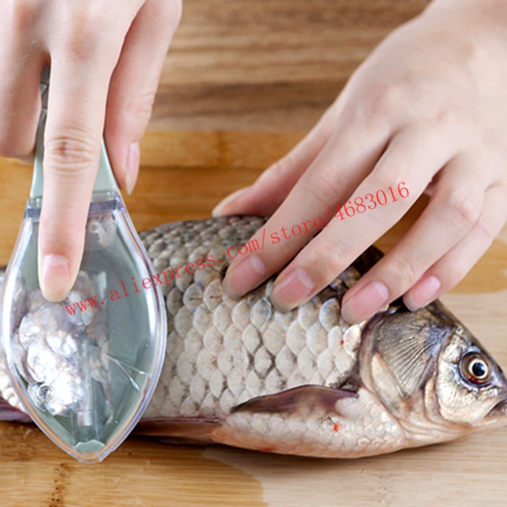 

Fish Scaler Brush Skin Remover Plastic Cleaner For Fish New Fish Skin Scraping Tools 2019 Seafood Tool Sets kitchen CIQ