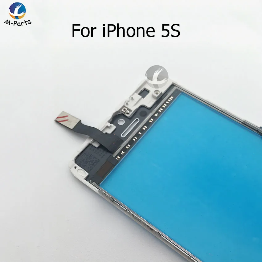 5S TP 8