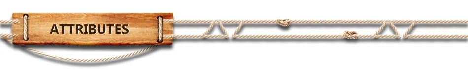cs011L_03
