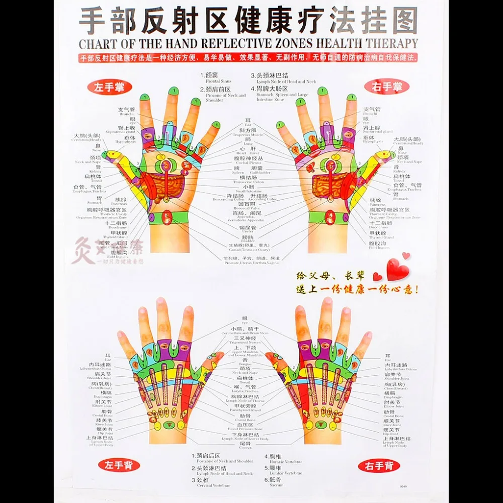 tableau de la main réfléchissants zone thérapie de santé hand therapy chart