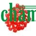 C CHAMSGEND 100 шт светится в темноте камни, галька рок для аквариума сад шесть цветов счастливые подарки высокого качества - Цвет: C