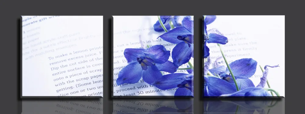 2017 New Fallout Cuadros Oil Painting Free Shopping Flowers 3panels/set Hd Canvas Print Artwork Hot Sell Decorative | Дом и сад