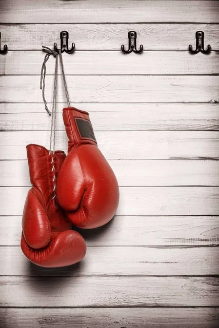 

Boxing Sports Red Gloves SILK POSTER Decorative Wall painting 24x36inch