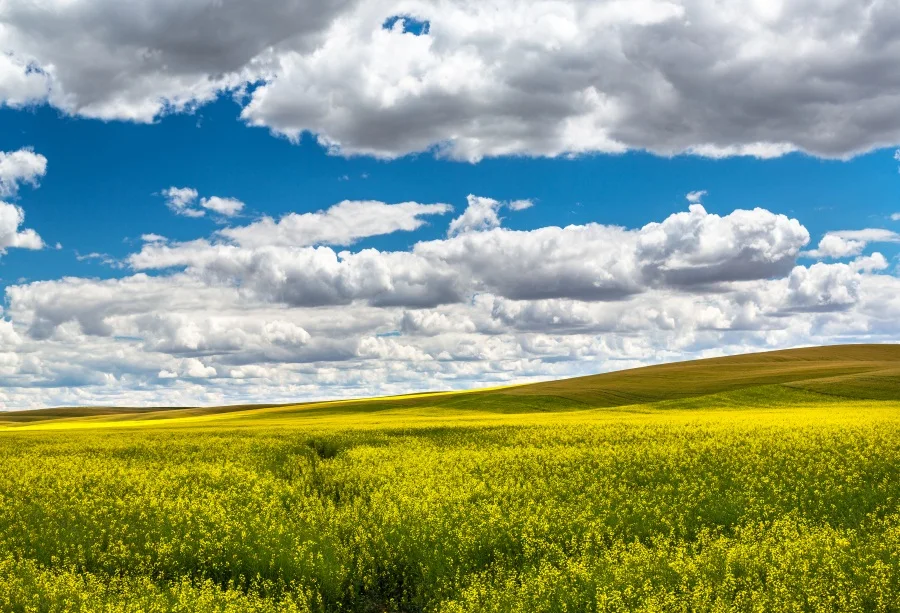 Unduh 5500 Background Langit Kuning Paling Keren