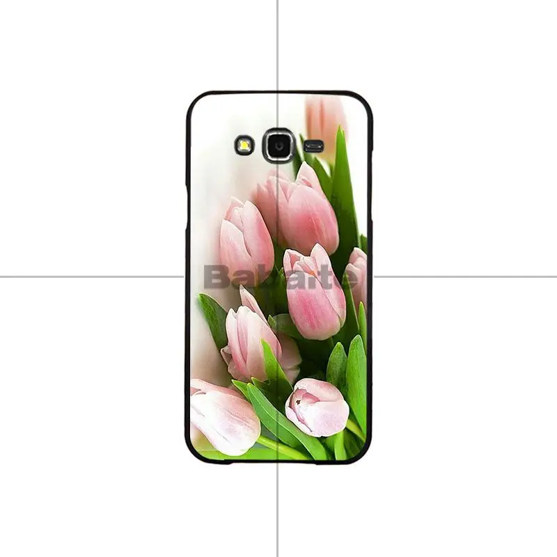 Flower Lotus Tulip