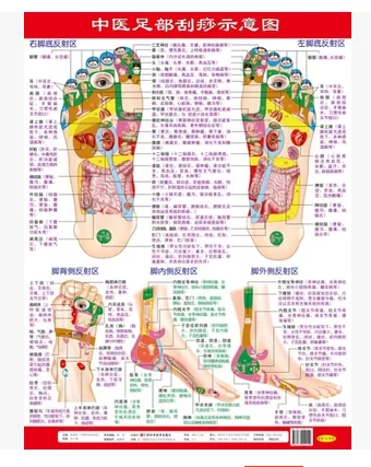 4 диаграммы зон отражения диаграммы рук, ног, лица, позвоночника. Домашний медицинский массаж, guasha, акупунктура, китайское издание