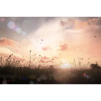 

6X10ft Dusk sunlight bird Vinyl Photography Background children Background Digital Print Banner Backdrops