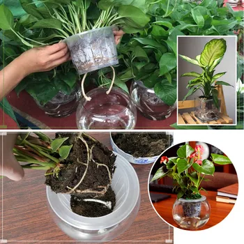 

Behogar 25pcs Plants Mesh Net Pot Basket for Hydroponics Aquaculture 4.72inch Diameter Garden Supply Plants Growth Accessories
