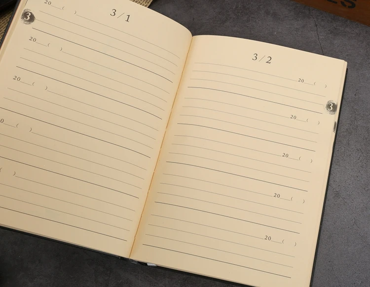 five years diary (4)