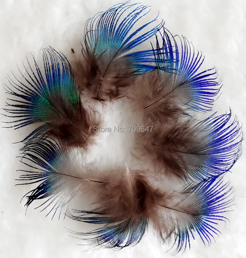 

Cheap! 100pcs/Lot Approx 2-4cm long BLUE PEACOCK BODY PLUMAGE FEATHERS,Small Peacock Plumage feathers for Crafts