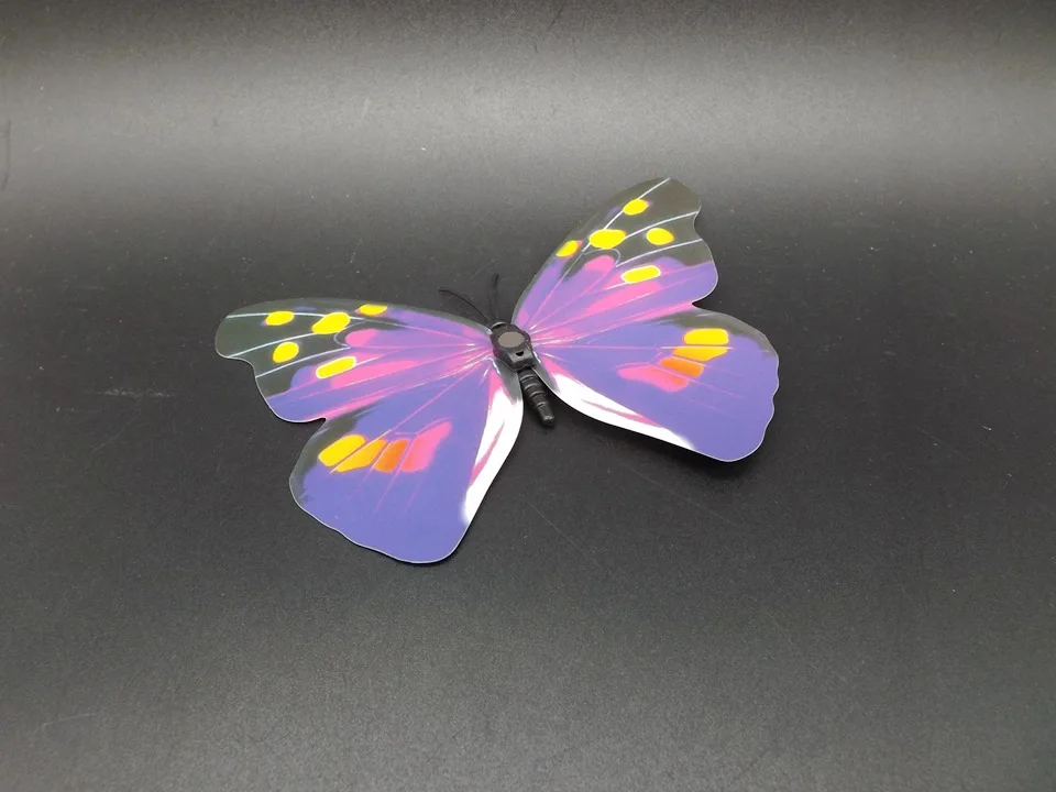 I193-Butterfly (7)