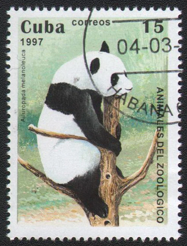 

Panda Cuba 1997 Postage Collection Post Stamp