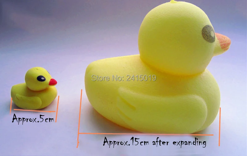 GROW IN WATER DUCK-5