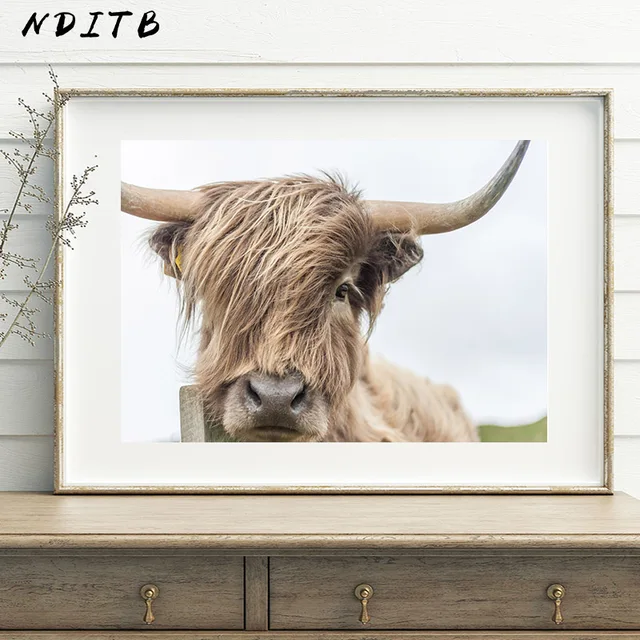 NDITB Highland Cow Wall Art Canvas Painting Animal Posters and Prints