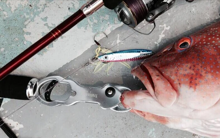 Высокое качество авиационная алюминиевая Рыба губы граббер Рыба захват с шкалой 15 кг рыболовные снасти