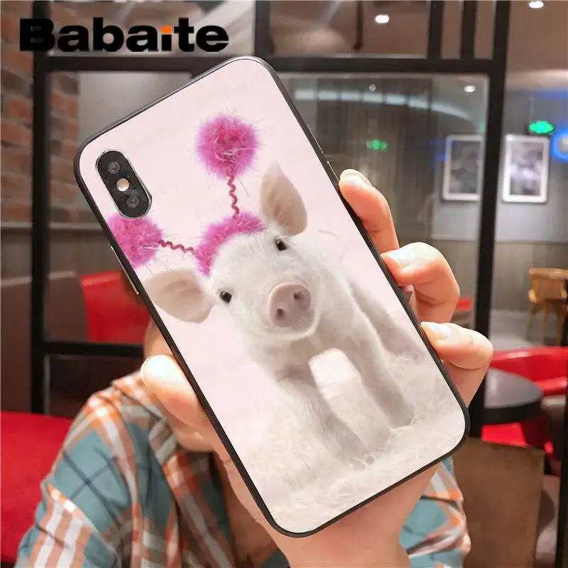 Cartoon Animal Pig