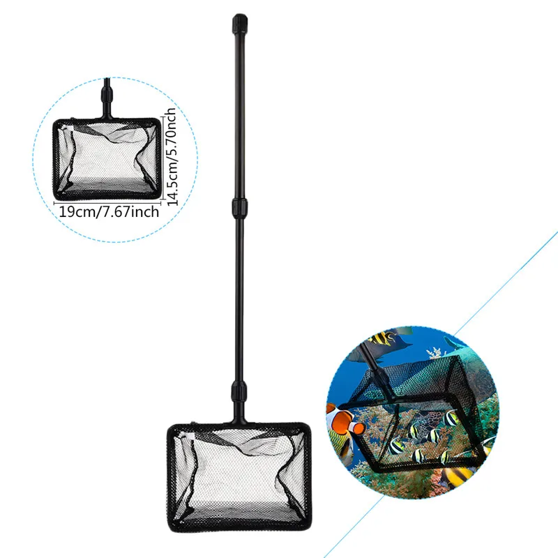 FH00030(10)