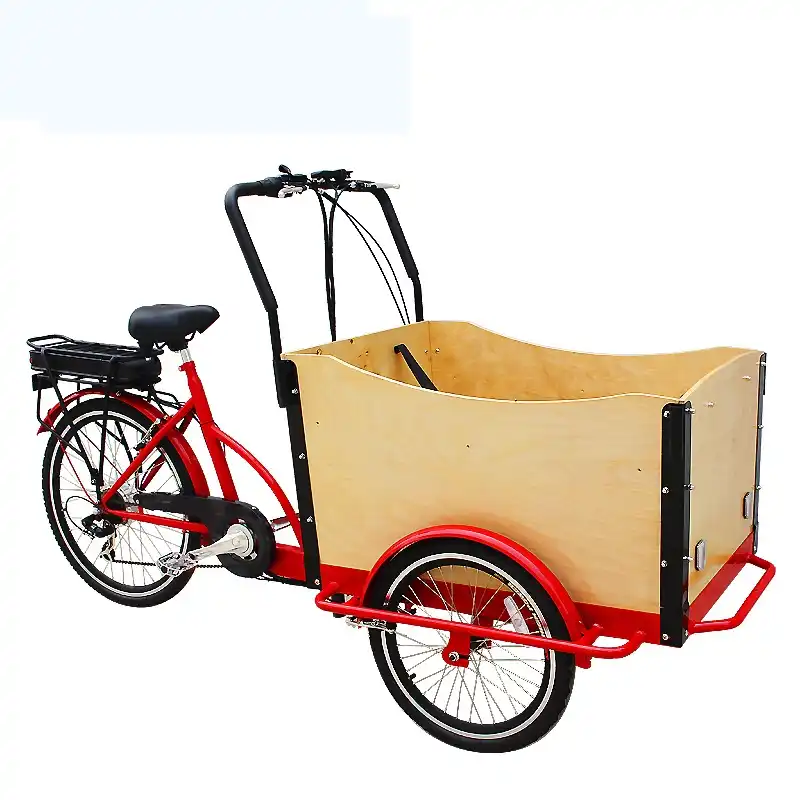 cargo bike aliexpress