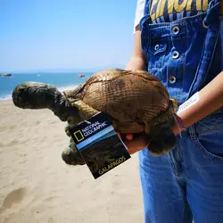 National Geographic 10,5 "чучело черепахи морских животных, игрушки pp хлопковые мягкие удобные детские подарки
