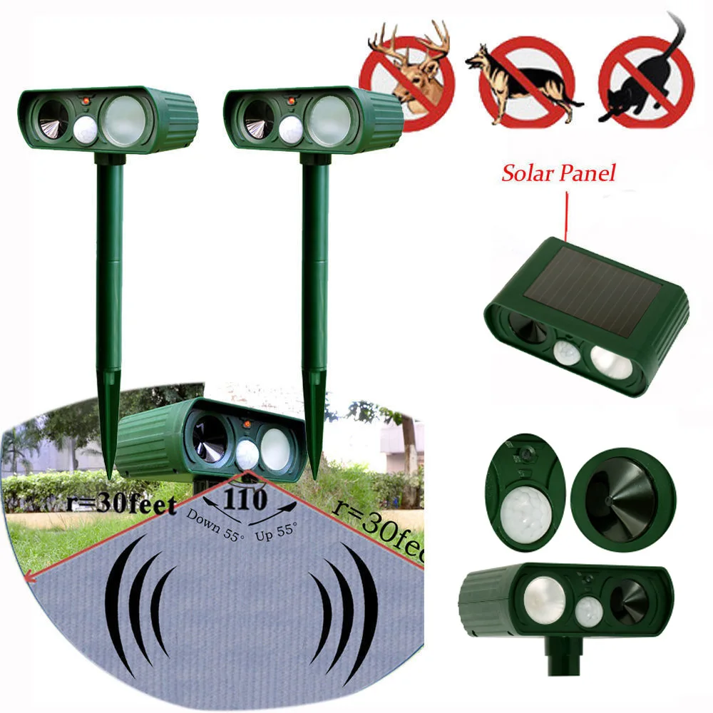 3716008304_1039191942