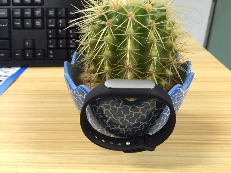 HTB1o8_jKVXXXXXsXFXXq6xXFXXXm