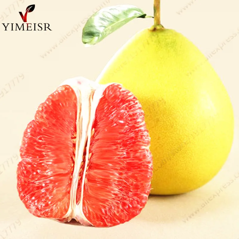 pomelo fruit fruit list pomelo fruit fruit list