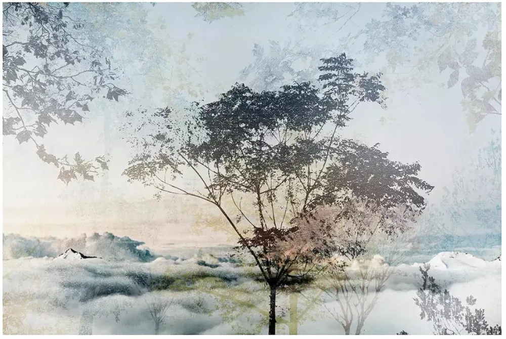 36020181212112524529