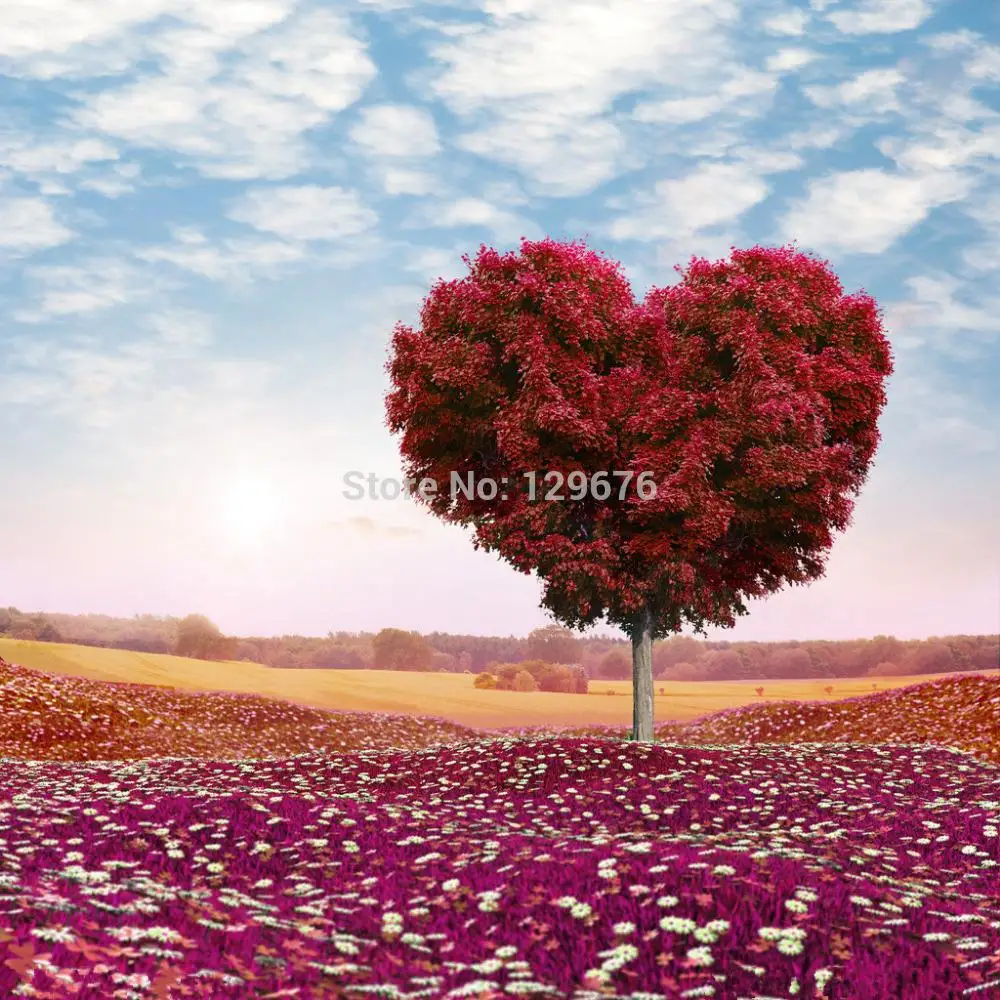 

10x10ft Valentine's day theme Photography Backdrops Vinyl Prop Photo Studio Background QRL318