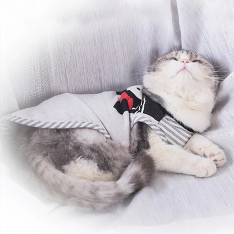 

Cat Clothing Chihuahua Sweaters Kitten Sweater All Seasons Novelty Sweater for A Cat Ropa Para Gatos De Navidad 50MYF003
