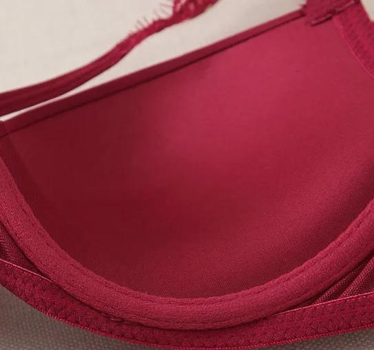fashionable sexy bra and briefs cheap online (11)