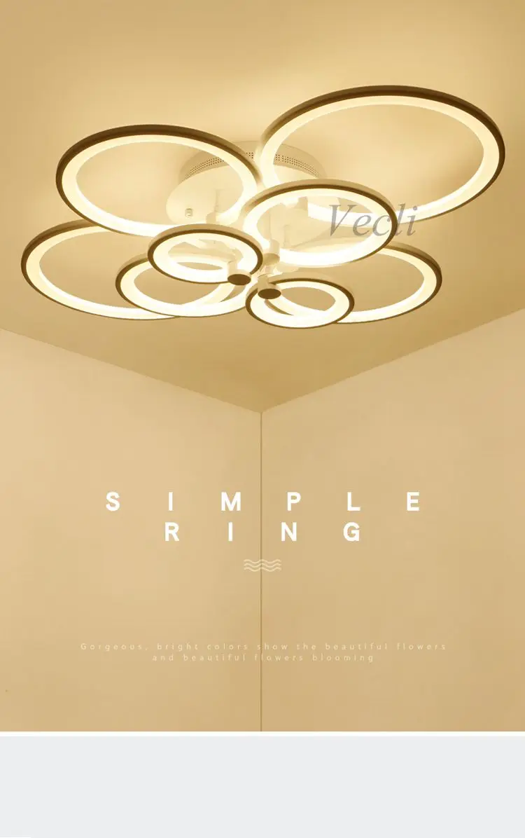 ceiling-light-01