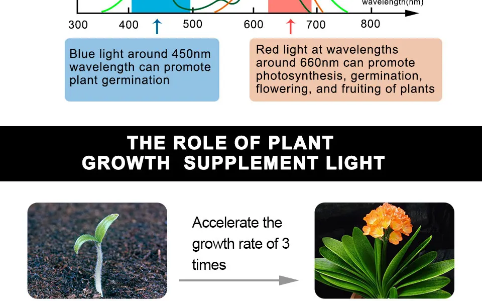 4pcs E27 LED Grow Light Full Spectrum Led Plant Lamp 220V Red Blue Phyto Lamp For Plants Indoor Greenhouse Hydroponics Grow Box (5)