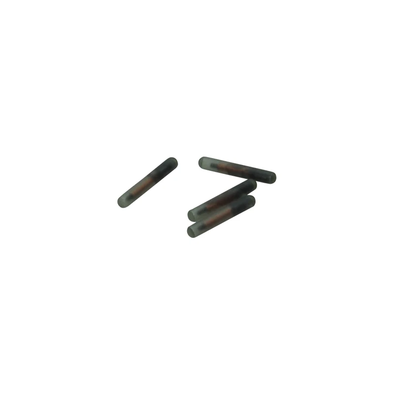 Микростеклянная RFID бирка с чипом 20 шт./упак. 2 12*12 мм T5577 LF 125 кГц|IC/ID карты| |