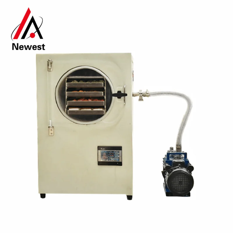 

tomato drying equipment DDP Russian vacuum freeze dryer for sale strawberry food vacuum freeze drying equipment