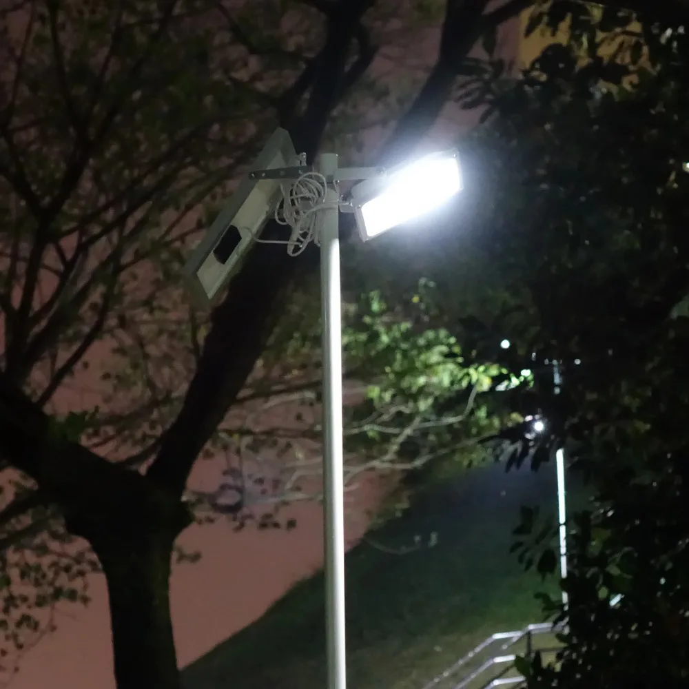 DSC03884