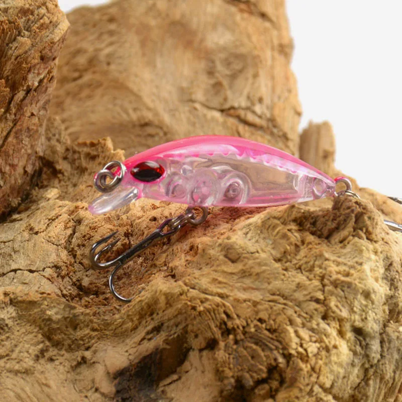 10212210096_654993982-2