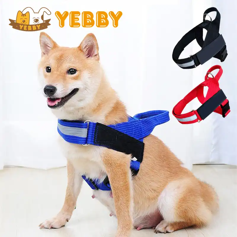 best shiba inu harness