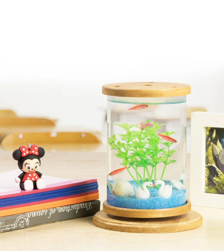 betta fish accessories