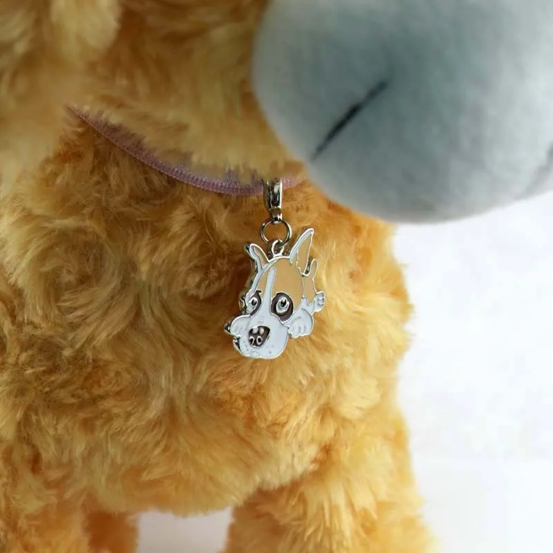 aeProduct.getSubject()