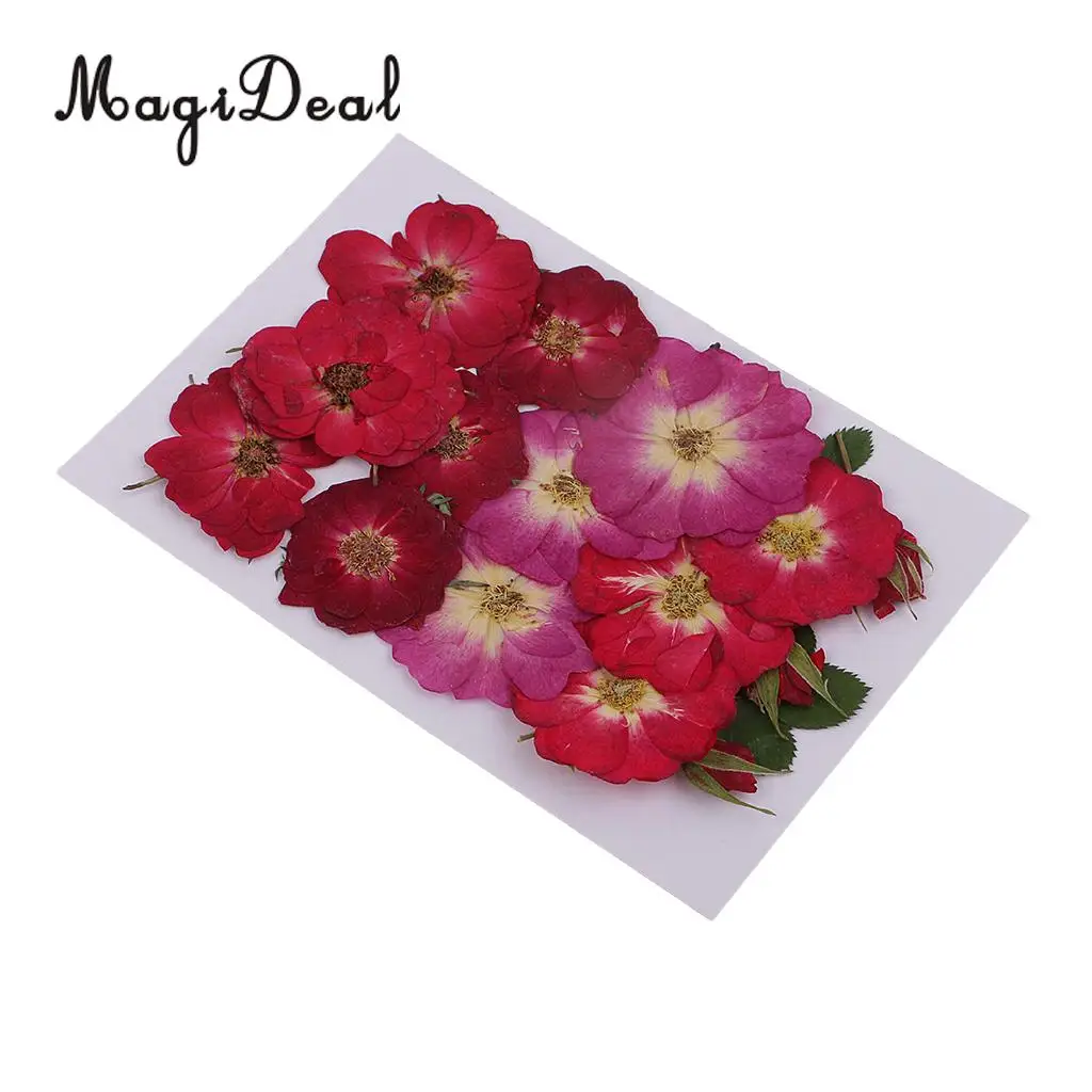 Beautiful Multiple Real Pressed Leaves Natural Dried Flowers for Art Craft Scrapbooking Card Making  Resin Jewelry Craft DIY