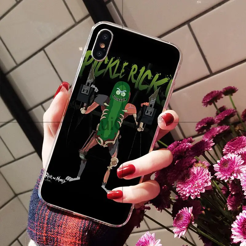 Rick and Morty pickle rick