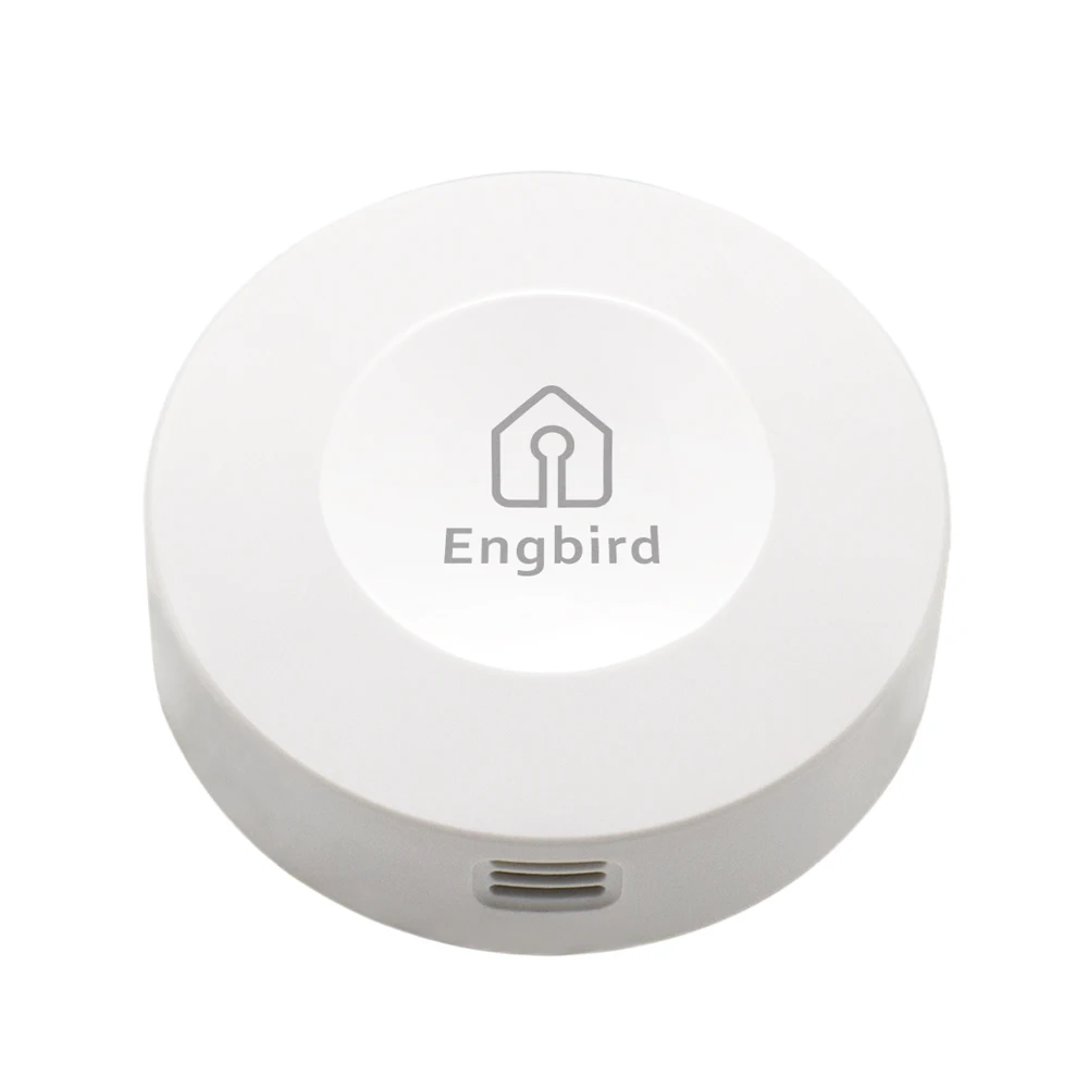 

High Accuracy IBS-TH1 Bluetooth Remote Wireless Temperature and Humidity Sensor Indoor Home Use Stainless Steel Probe For Liquid