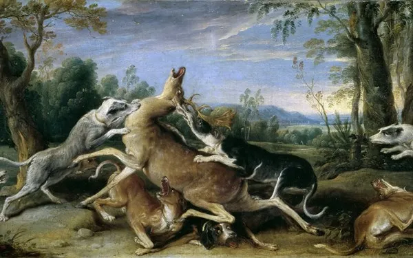 Spray Painting Hunting Dogs Spray Painting Hunting Dogs