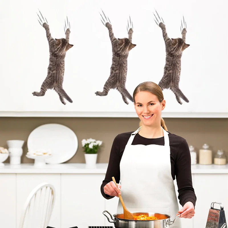 9019293286_764360284