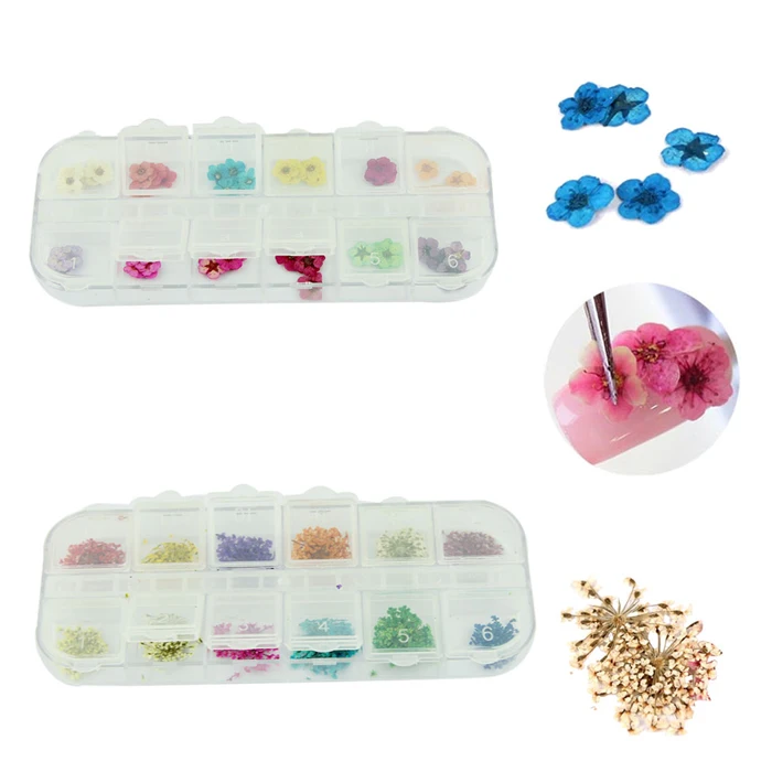 2 boxes Nail art supplies full set nail art tool decoration dried