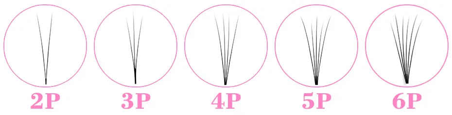 2-6P