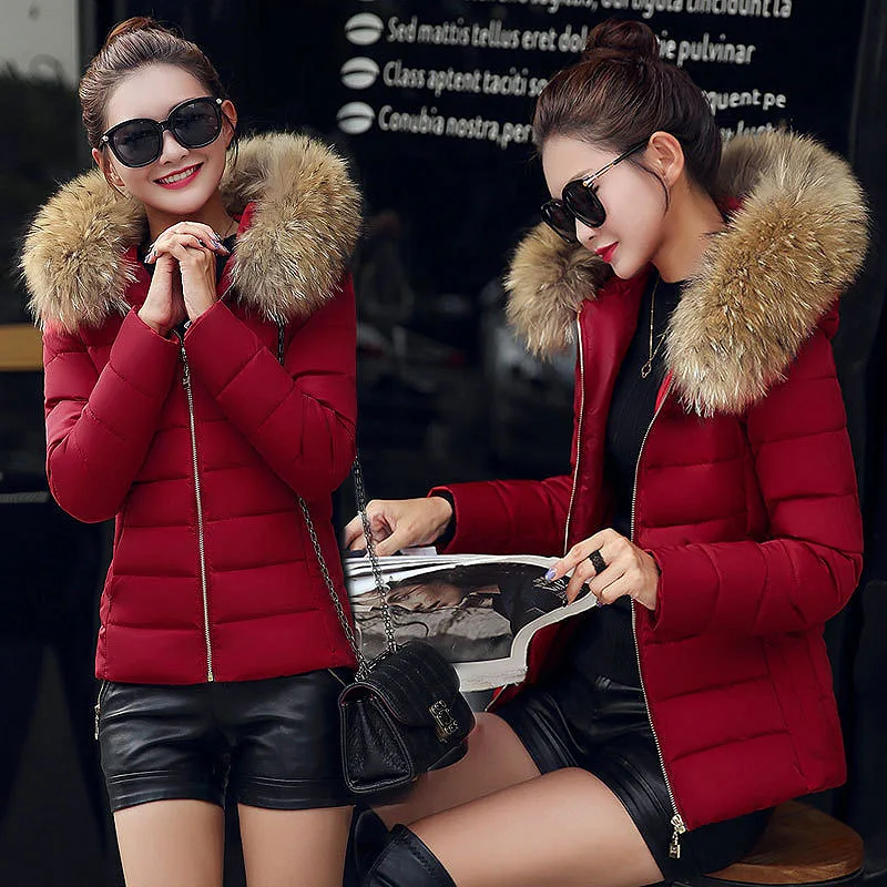 

Winter Short Coat Women Thick Warm Down Cotton Jacket Woman Hooded Fur Collar jaket women coats chaquetas mujer invierno 2018