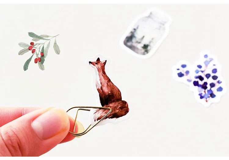 10013326078_82123617